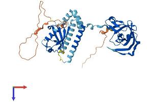 DDI1 Protein (AA 1-396) (His tag)