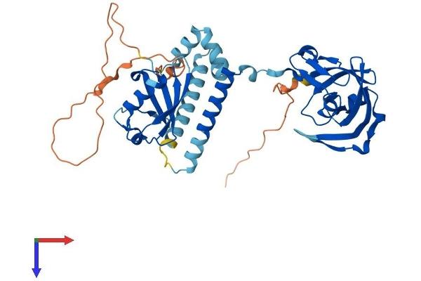 DDI1 Protein (AA 1-396) (His tag)