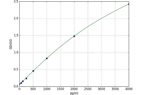 CA6 ELISA Kit