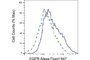 Validation of EGFR knockdown using flow cytometry.