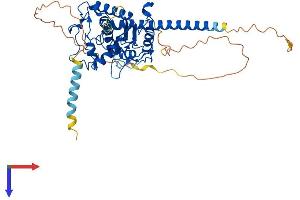 HS6ST3 Protein (AA 1-470) (His tag)