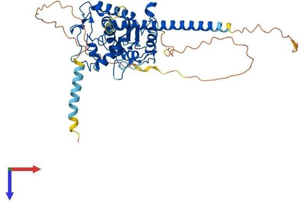 HS6ST3 Protein (AA 1-470) (His tag)