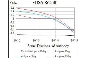 Black line: Control Antigen (100 ng), Purple line: Antigen(10 ng), Blue line: Antigen (50 ng), Red line: Antigen (100 ng), (Dynactin 4 Antikörper  (AA 57-298))