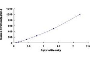 FGF11 ELISA Kit