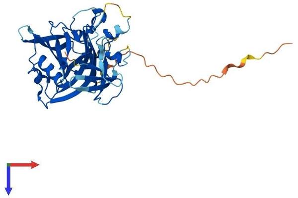 NUDT17 Protein (AA 1-328) (His tag)