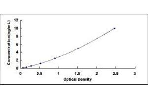 Typical standard curve (PTPRQ ELISA Kit)