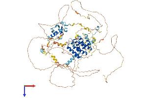 LARP1B Protein (AA 1-914) (His tag)