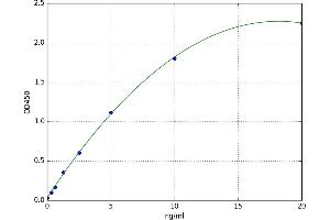 A typical standard curve (WNT6 ELISA Kit)