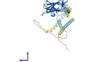 AlphaFold protein structure predicition of Human Recombinant SUN3 Protein, UniprotID Q8TAQ9