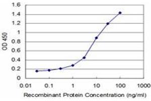 Detection limit for recombinant GST tagged FOXF2 is approximately 0. (FOXF2 Antikörper  (AA 346-443))