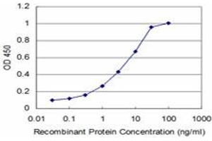 Detection limit for recombinant GST tagged PTF1A is approximately 0. (PTF1A Antikörper  (AA 250-328))
