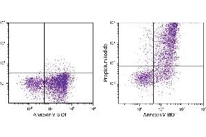 Flow Cytometry (FACS) image for Aposcreen Annexin V-UNLB (ABIN377006)