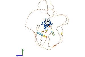 Protein Structure (PS) image for Ets Variant 3 (ETV3) (AA 1-513) protein (His tag) (ABIN7559771)