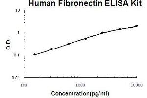 Human Fibronectin PicoKine ELISA Kit standard curve