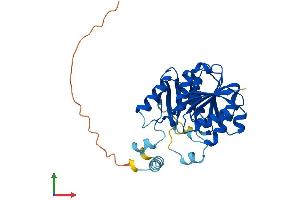 Protein Structure (PS) image for Calmodulin-Lysine N-Methyltransferase (CAMKMT) (AA 1-323) protein (His tag) (ABIN7557135)
