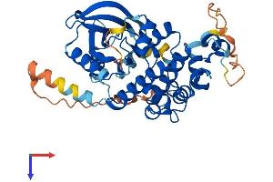 MEK2 Protein (AA 1-400) (His tag)