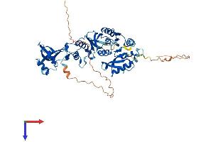 TRMT5 Protein (AA 1-509) (His tag)