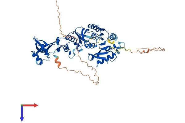 TRMT5 Protein (AA 1-509) (His tag)