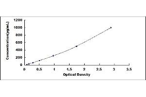 Typical standard curve (BMP7 ELISA Kit)