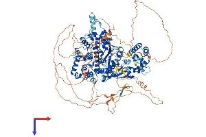 FAM120A Protein (AA 1-1118) (His tag)