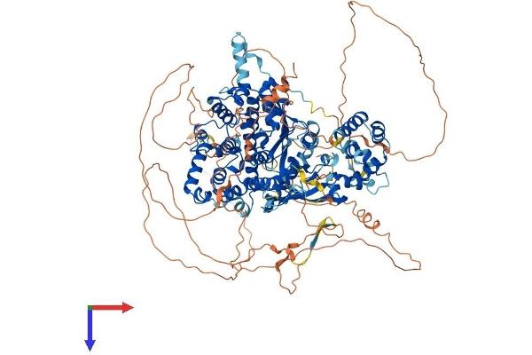 FAM120A Protein (AA 1-1118) (His tag)