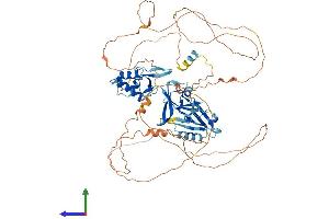 Protein Structure (PS) image for Dishevelled Segment Polarity Protein 1 (DVL1) (AA 1-695) protein (His tag) (ABIN7553756)