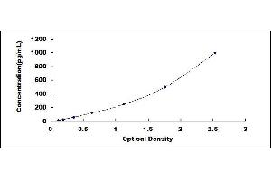 DPYD ELISA Kit