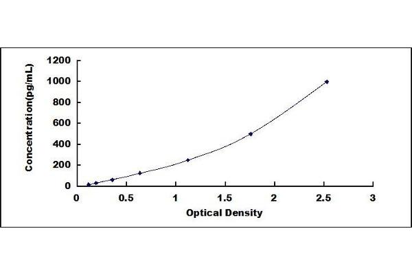 DPYD ELISA Kit