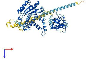 MGAT4A Protein (AA 1-535) (His tag)
