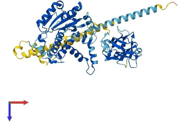 MGAT4A Protein (AA 1-535) (His tag)
