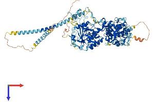 EXTL3 Protein (AA 1-919) (His tag)