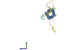 Protein Structure (PS) image for Synaptogyrin 2 (SYNGR2) (AA 1-224) protein (His tag) (ABIN7562480)