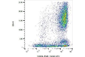 Flow cytometry analysis (surface staining) of human peripheral blood cells with anti-CD62L (LT-TD180) purified, GAM-APC.