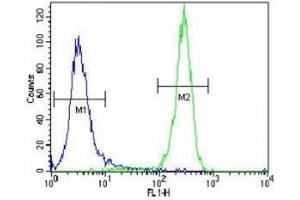 Flow Cytometry (FACS) image for anti-serine/threonine Kinase 11 (STK11) (AA 14-44) antibody (ABIN3032540)