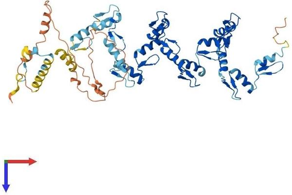 ZNF136 Protein (AA 1-540) (His tag)