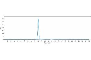 The purity of Anti-KLK2 / Kallikrein 2 Reference Antibody (JNJ-69086420) is 100 % , determined by SEC-HPLC. (Rekombinanter Kallikrein 2 Antikörper)