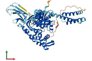 Protein Structure (PS) image for Heat Shock 70kDa Protein 6 (HSP70B') (HSPA6) (AA 1-643) protein (His tag) (ABIN7554125)