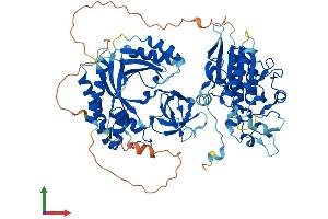 Protein Structure (PS) image for Ubiquitin Associated and SH3 Domain Containing, A (UBASH3A) (AA 1-661) protein (His tag) (ABIN7555942)
