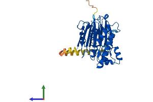 Protein Structure (PS) image for Protein Phosphatase, Mg2+/Mn2+ Dependent, 1L (PPM1L) (AA 1-360) protein (His tag) (ABIN7558653)