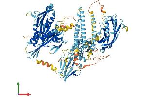 AlphaFold protein structure predicition of Human Recombinant KIF28P Protein, UniprotID B7ZC32