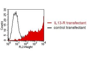 FACS analysis of BOSC23 cells using C8. (IL13RA2 Antikörper  (Extracellular Domain))