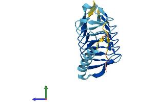 Protein Structure (PS) image for Dynactin 5 (p25) (DCTN5) (AA 1-182) protein (His tag) (ABIN7561821)