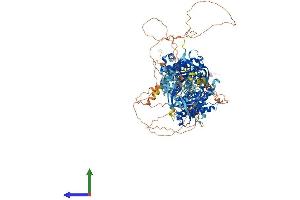 Protein Structure (PS) image for Adenylate Cyclase 9 (ADCY9) (AA 1-1353) protein (His tag) (ABIN7563399)