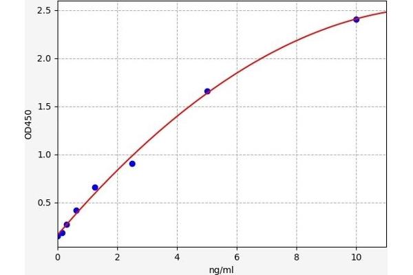 Oncostatin M Receptor ELISA Kit