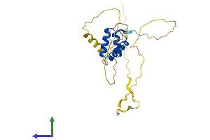 Protein Structure (PS) image for Mix Paired-Like Homeobox (MIXL1) (AA 1-232) protein (His tag) (ABIN7549438)