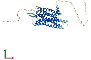 Protein Structure (PS) image for Gastrin-Releasing Peptide Receptor (GRPR) (AA 1-384) protein (His tag) (ABIN7562959)