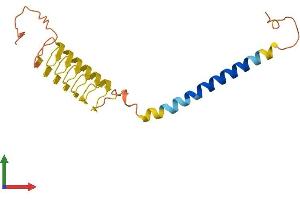 Protein Structure (PS) image for Keratin Associated Protein 5-7 (KRTAP5-7) (AA 1-196) protein (His tag) (ABIN7560896)