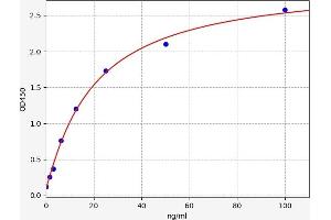 Amiloride Binding Protein 1 (Amine Oxidase (Copper-Containing)) (ABP1) ELISA Kit