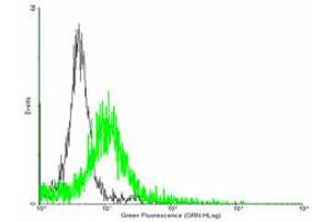 FACS analysis of negative control 293 cells (Black) and SMAD6 expressing 293 cells (Green) using SMAD6 purified MaxPab mouse polyclonal antibody. (SMAD6 Antikörper  (AA 1-496))