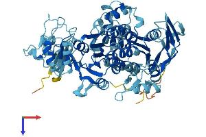 ABCE1 Protein (AA 1-599) (His tag)